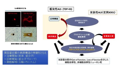 神経内科