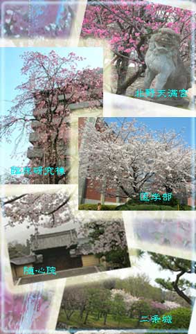 Kyoto_u_Neurology